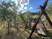Gospodărie cu 10.900 mp teren, 3 constructii, Cainelu de Su