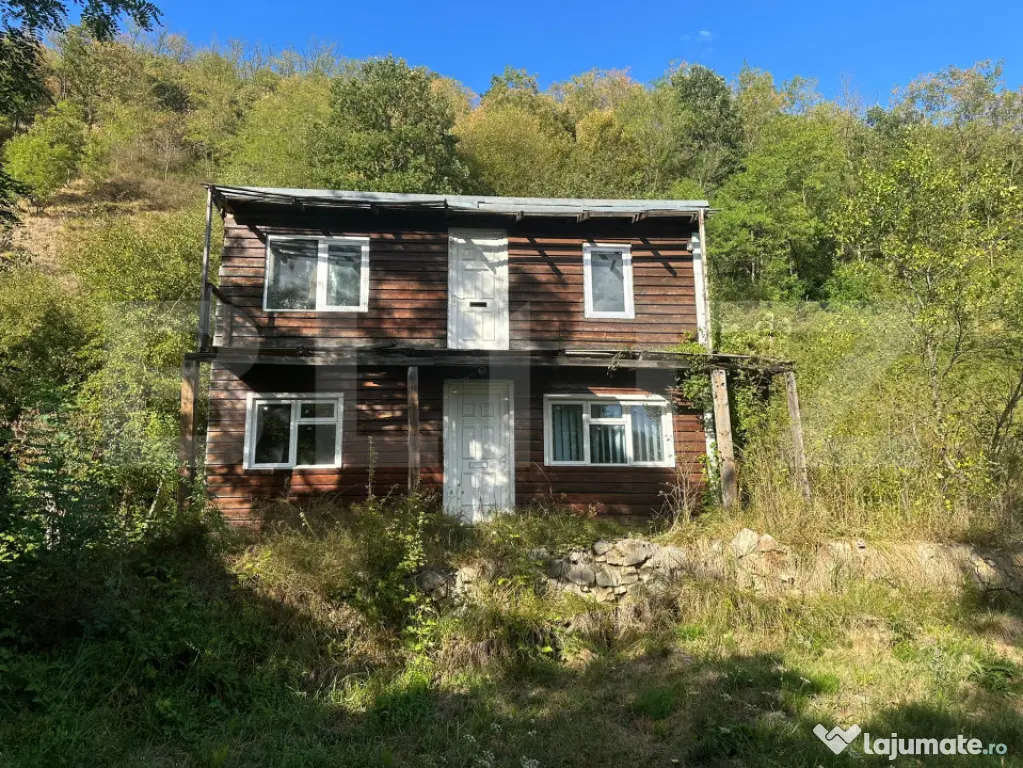 Gospodărie cu 10.900 mp teren, 3 constructii, Cainelu de Su - Cainelu De Sus (Hunedoara)