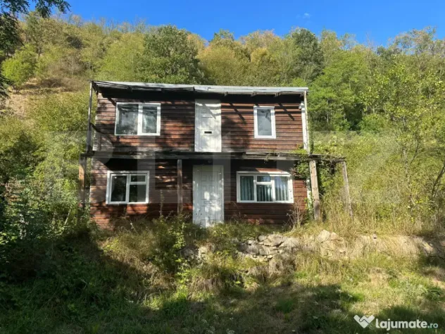 Gospodărie cu 10.900 mp teren, 3 constructii, Cainelu de Su - Cainelu De Sus (Hunedoara)
