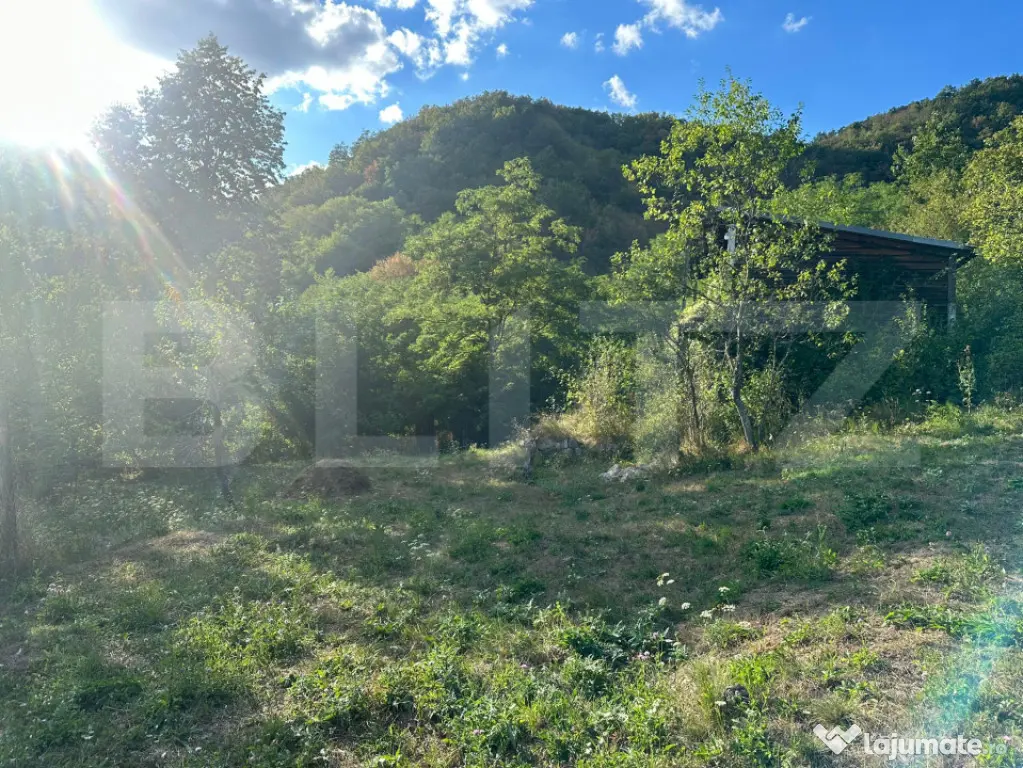 Gospodărie cu 10.900 mp teren, 3 constructii, Cainelu de Su - Cainelu De Sus (Hunedoara)