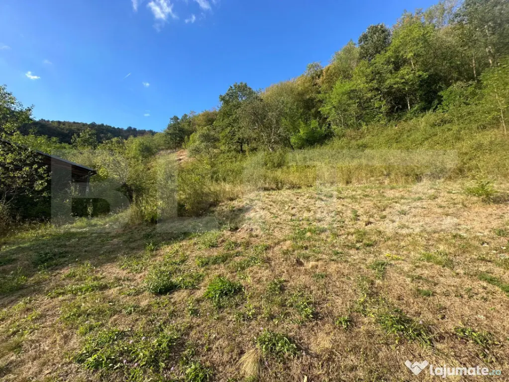 Gospodărie cu 10.900 mp teren, 3 constructii, Cainelu de Su - Cainelu De Sus (Hunedoara)