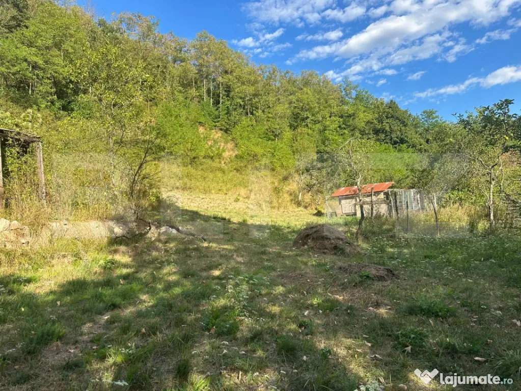Gospodărie cu 10.900 mp teren, 3 constructii, Cainelu de Su - Cainelu De Sus (Hunedoara)