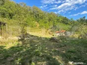 Gospodărie cu 10.900 mp teren, 3 constructii, Cainelu de Su