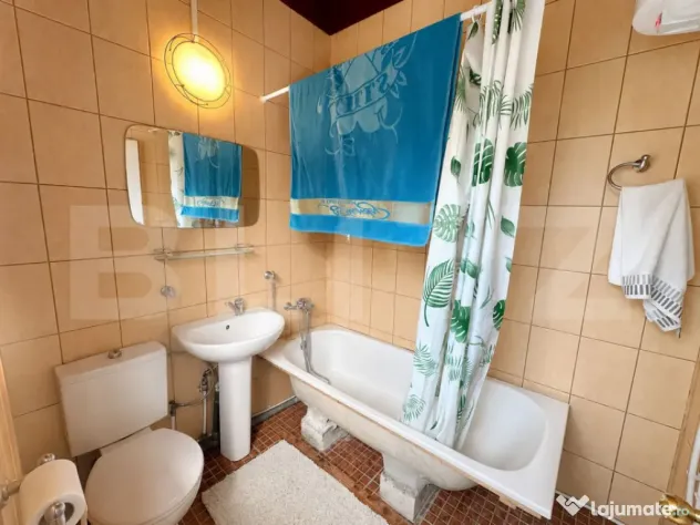 Gospodărie cu 10.900 mp teren, 3 constructii, Cainelu de Su - Cainelu De Sus (Hunedoara)