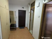 Muncii mieilor vatra luminoasă etaj 6