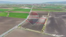 Comision 0% | Teren extravilan arabil 10.000 mp | Feldioara