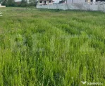 Teren intravilan, 700 mp, zona Mihai Viteazu