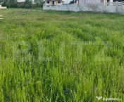 Teren intravilan, 700 mp, zona Mihai Viteazu