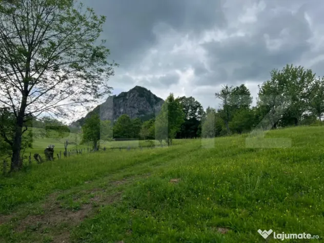 Teren intravilan 5.800 mp | priveliște spectaculoasă | pot - Hartagani (Hunedoara)
