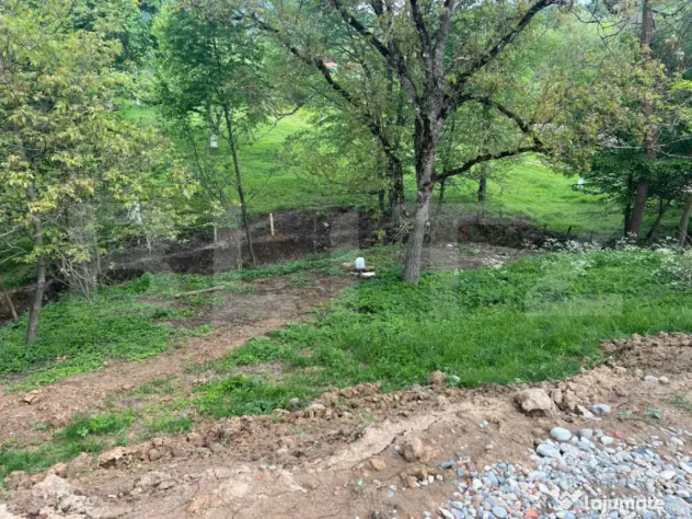 Teren intravilan 5.800 mp | priveliște spectaculoasă | pot - Hartagani (Hunedoara)