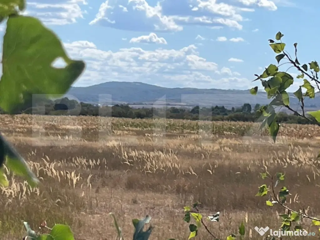 De vanzare teren exravilan de 26.071 mp - Tileagd (Bihor)