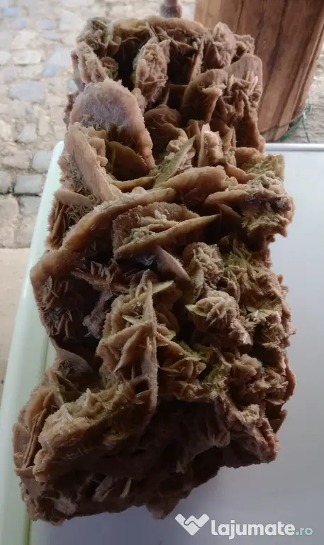 Trandafirul roza desertului cristale de ghips si nisip 55 cm.