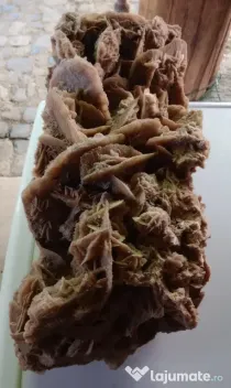 Trandafirul roza desertului cristale de ghips si nisip 55 cm.