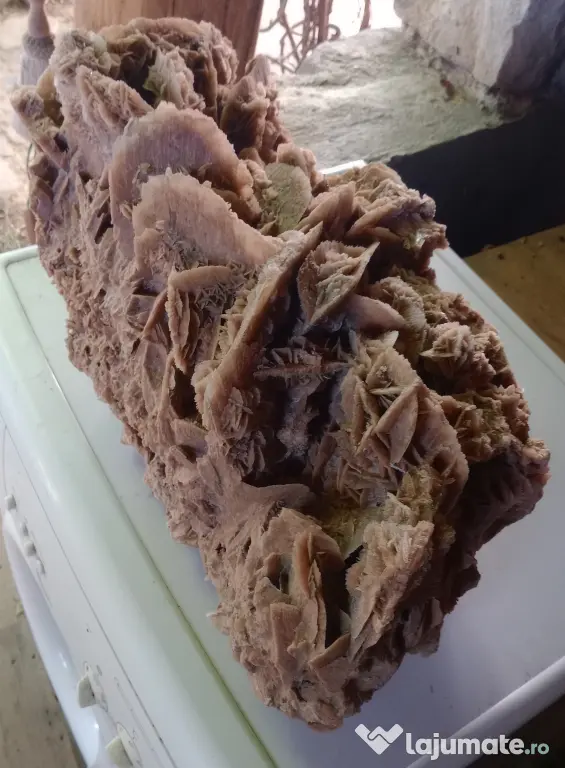 Trandafirul roza desertului cristale de ghips si nisip 55 cm.