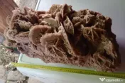 Trandafirul roza desertului cristale de ghips si nisip 55 cm. 
