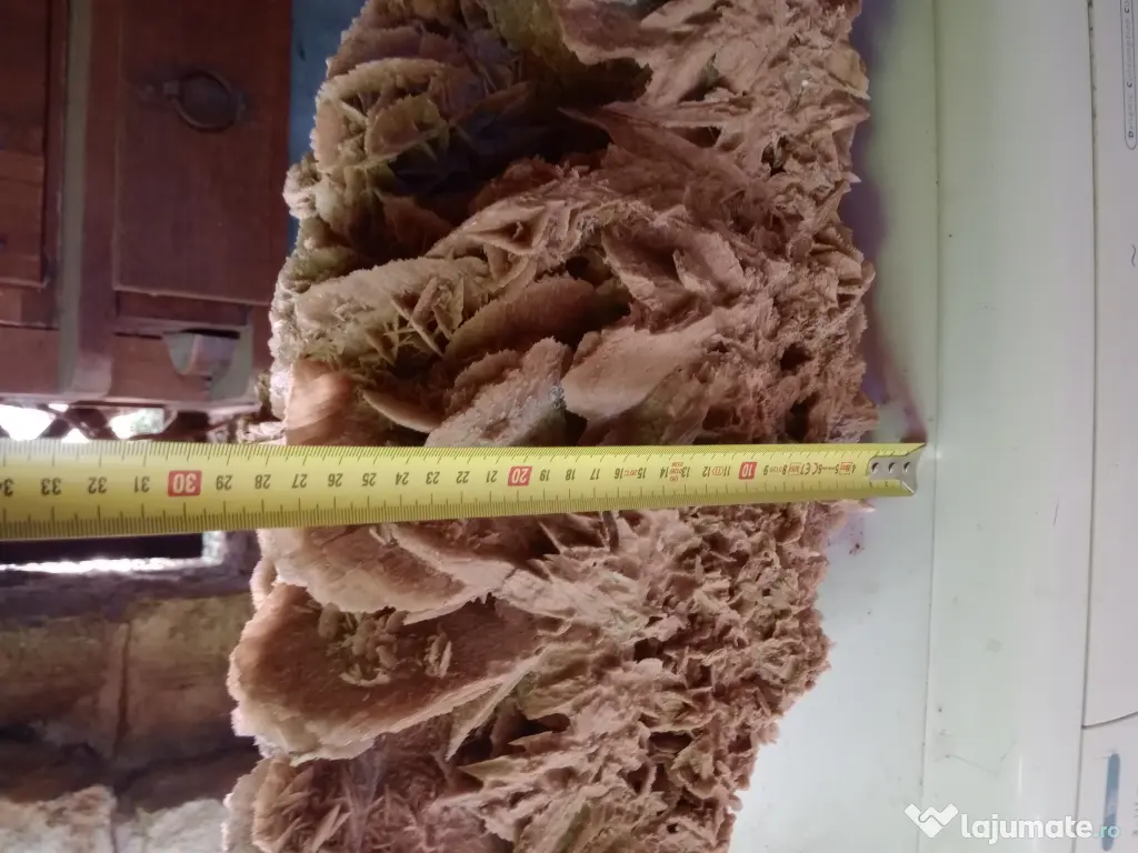 Trandafirul roza desertului cristale de ghips si nisip 55 cm.