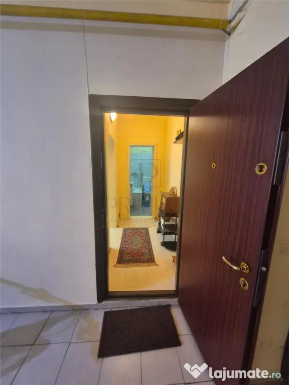 Apartament O Camera 30mp, Ultracentral - (Zona Balcescu)- Ce - Timisoara (Timis)
