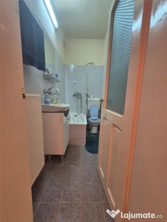 Apartament O Camera 30mp, Ultracentral - (Zona Balcescu)- Ce - Timisoara (Timis)