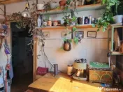 Apartament cu 3 camere, in zona Centrala