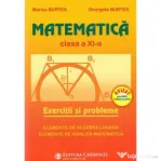 Matematica. Culegere pentru clasa a 11-a - Marius Burtea