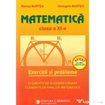 Matematica. Culegere pentru clasa a 11-a - Marius Burtea