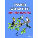 Pasari salbatice din tara noastra. Contine 48 de jetoane