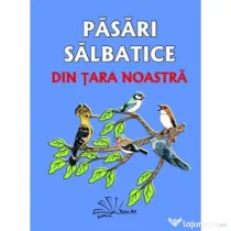 Pasari salbatice din tara noastra. Contine 48 de jetoane