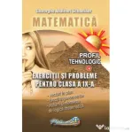 Matematica. Exercitii si probleme clasa a 9-a profil tehnologic - Gheorghe-Adalbert Schneider