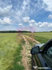 Teren 6,26 ha lângă DEx12 Pitești 