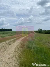 Teren 6,26 ha lângă DEx12 Pitești 