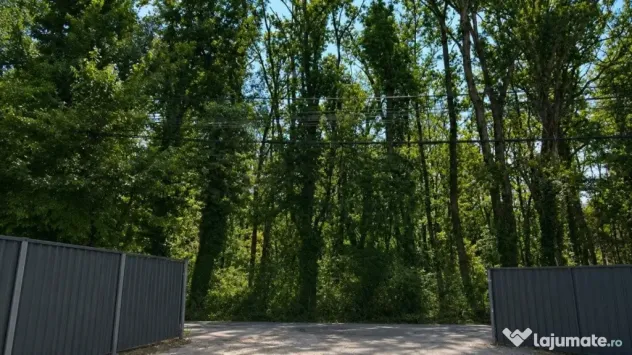 Teren de închiriat Baneasa - 900 mp - Bucuresti (Bucuresti-Ilfov)