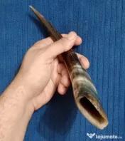 Corn de taur sau bivol 25 cm. cu urme de adeziv