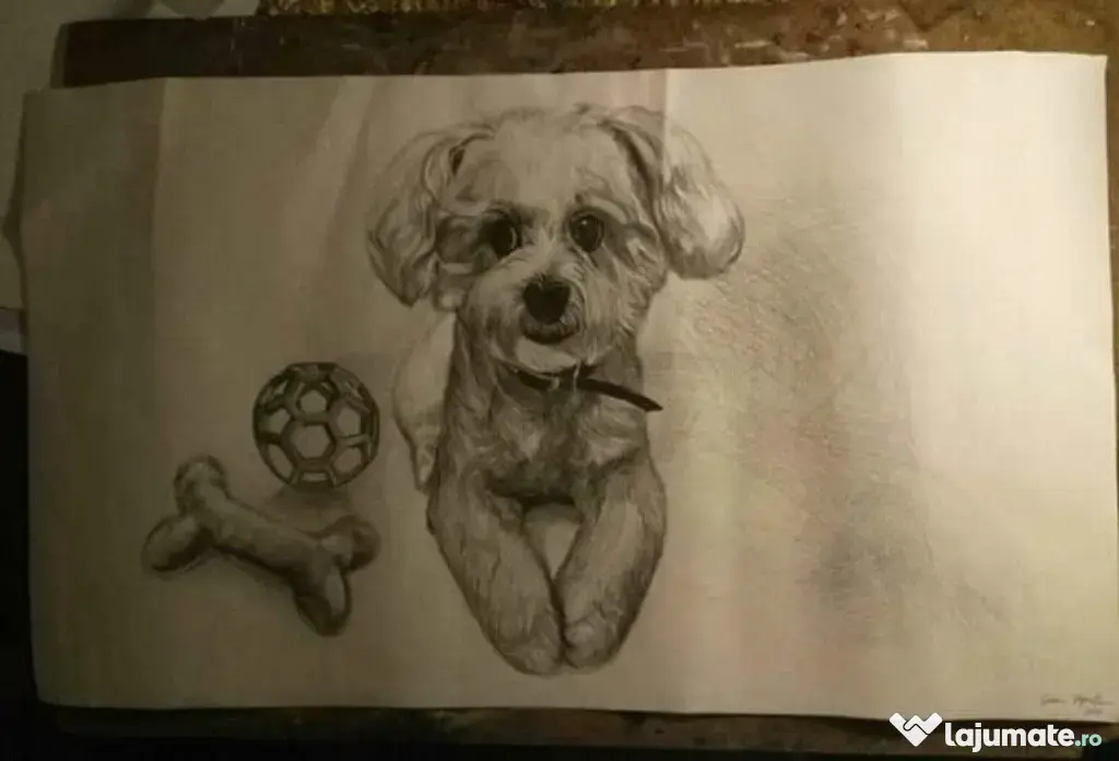 Desenez în creion tus negru sau pictura pe pânză comanda