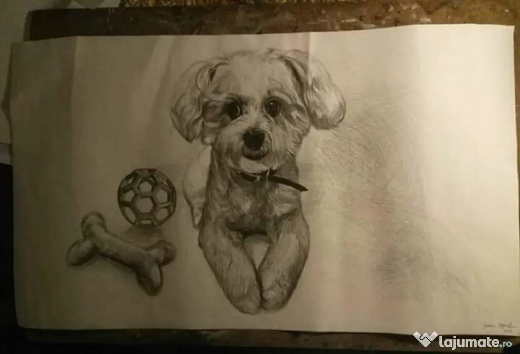 Desenez în creion tus negru sau pictura pe pânză comanda
