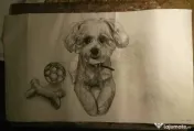 Desenez în creion tus negru sau pictura pe pânză comanda