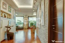 Penthouse 5 camere de vanzare -Nordului stradal + 800 mp ter