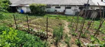Hala zona Drumul Tatarilor cu 1770mp teren