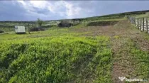 Vând teren intravilan 2500 mp