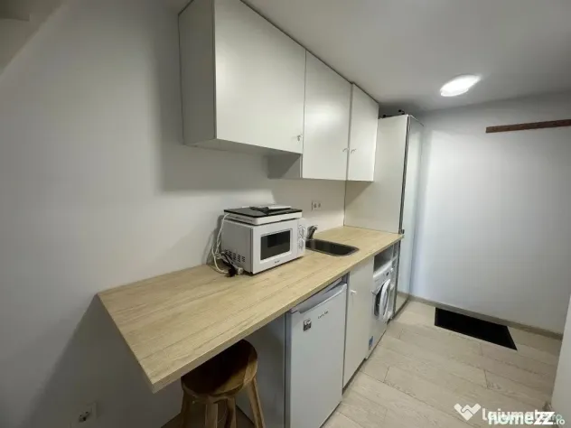 Studio mobilat, zona vile - foarte linistita, etaj 1, langa Cismigiu - Bucuresti (Bucuresti-Ilfov)