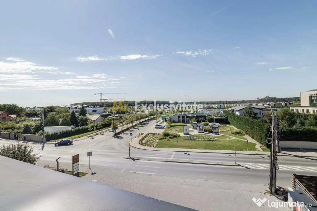 Spatiu comercial de la 12 euro de inchiriat Amber Forest Plaza - Tunari (Bucuresti-Ilfov)