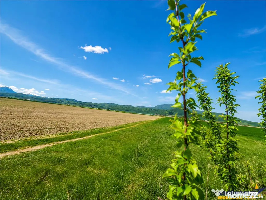 Oportunitate investitie! Teren 47.577 mp, Codlea . Ghimbav, - Brasov (Brasov)