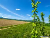 Oportunitate investitie! Teren 47.577 mp, Codlea . Ghimbav,