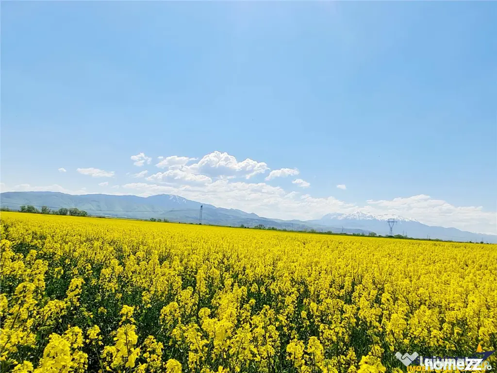 Oportunitate investitie! Teren 47.577 mp, Codlea . Ghimbav, - Brasov (Brasov)