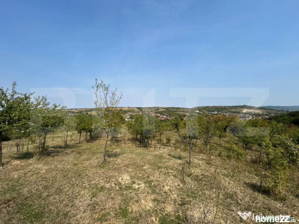 Teren extravilan de vânzare–5.800 mp, livadă și vedere - Aiud (Alba)