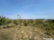 Teren extravilan de vânzare–5.800 mp, livadă și vedere 