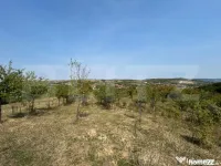 Teren extravilan de vânzare–5.800 mp, livadă și vedere 