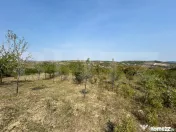 Teren extravilan de vânzare–5.800 mp, livadă și vedere 
