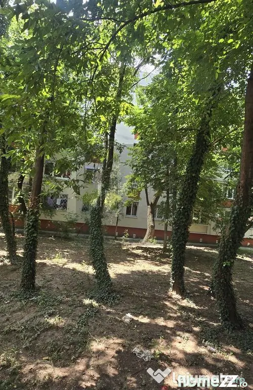 Garsoniera Sector 4/ 33 mp-Berceni - Bucuresti (Bucuresti-Ilfov)
