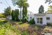 Proprietate de vânzare pentru investiție–teren 3874mp+co