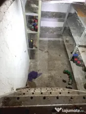Casă 103 mp din cărămidă, izolată, cu garaj, pivniță 